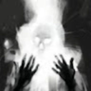 Meet your Posher, Evelyn